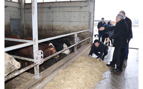 Hayvancılıkla İlgili İstişare Toplantısı Bölgemizde Yapıldı 07.01.2020