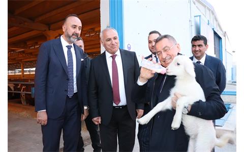 snfuat-oktaydan-sincan-hayvancilik-bolgesine-onemli-ziyaret