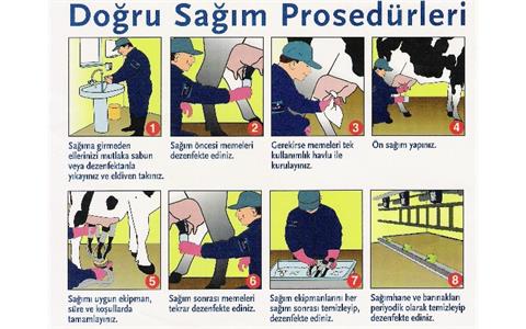 dogru-sagim-prosedurleri