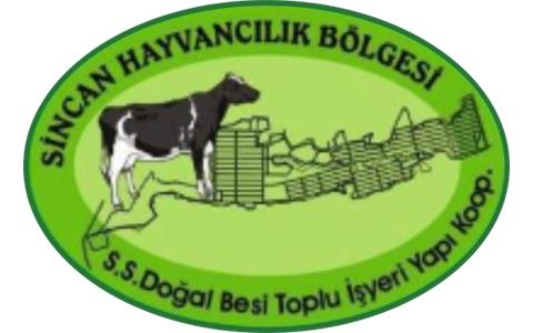Stomatitis-Glossitis-Gingivitis (ağız mukozasının iltihabı) 